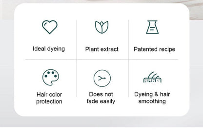 3 in 1 Black Hair Dye Shampoo (Pack of 2)