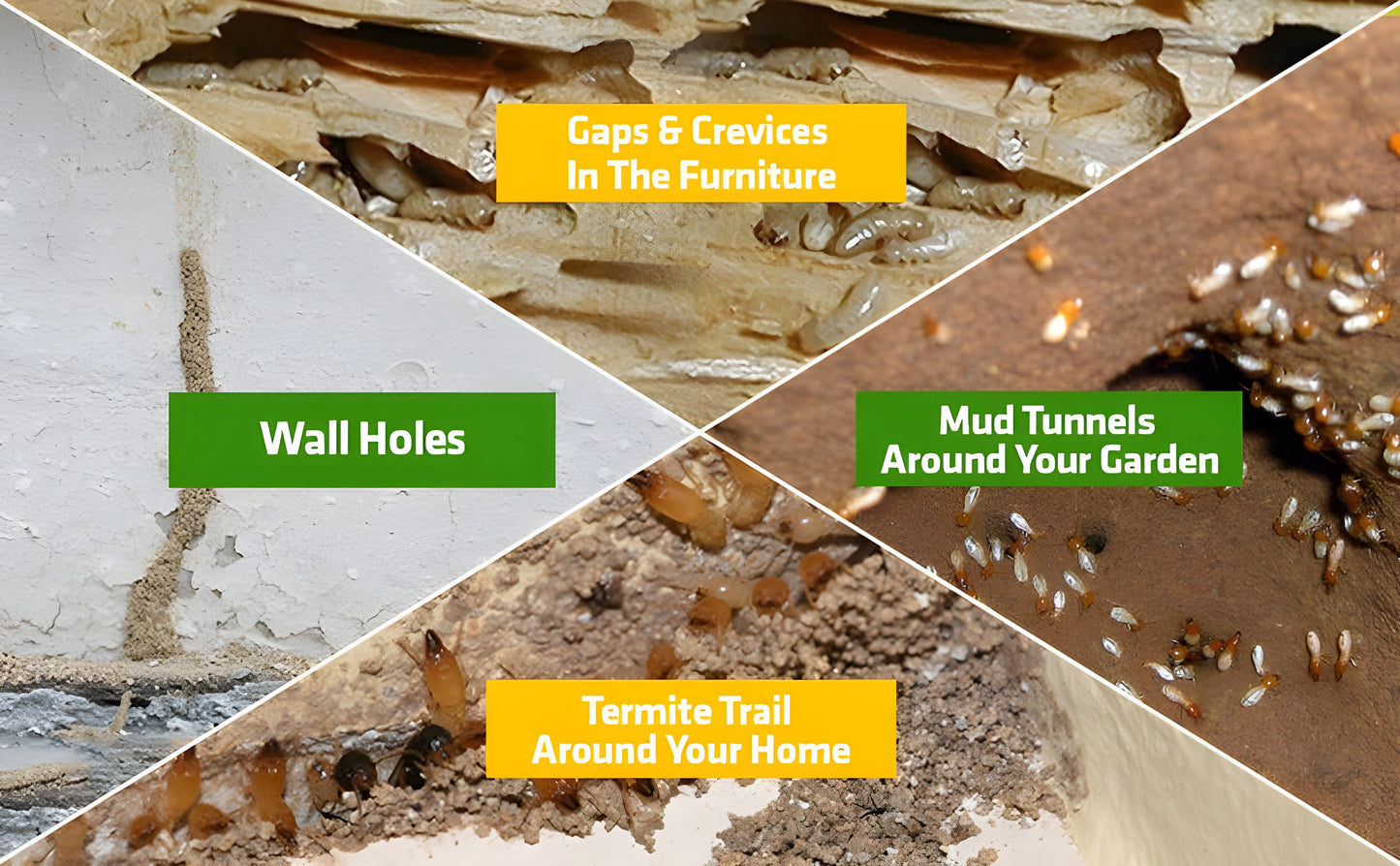 Termite Killer Spray - (Buy 1 Get 2 Free)  ⏰
